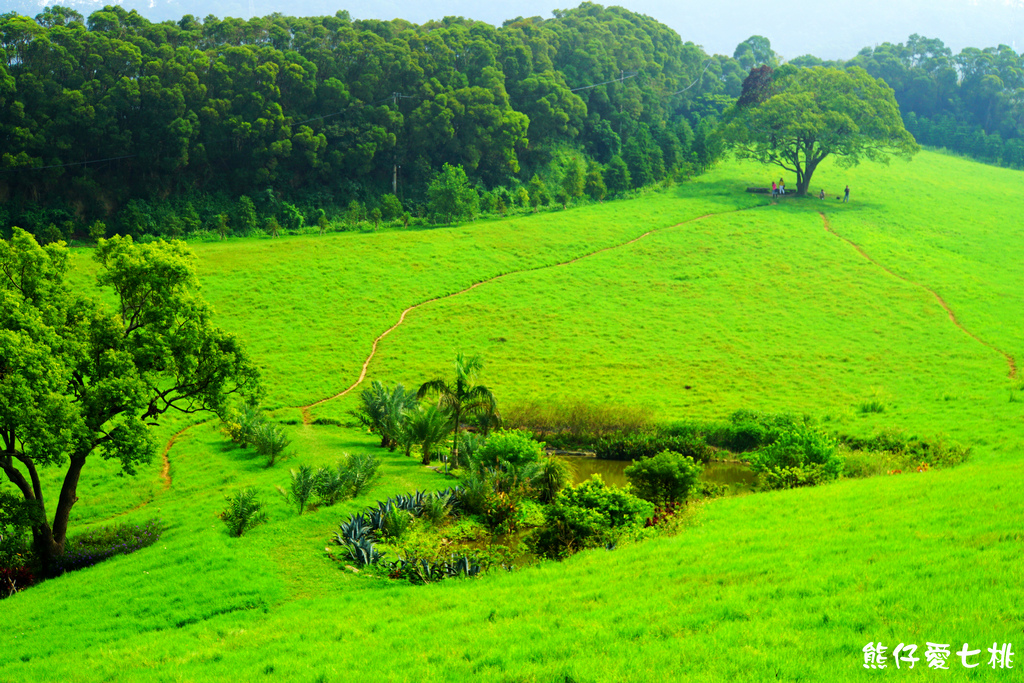 DSC06824.jpg DSC06824.jpg