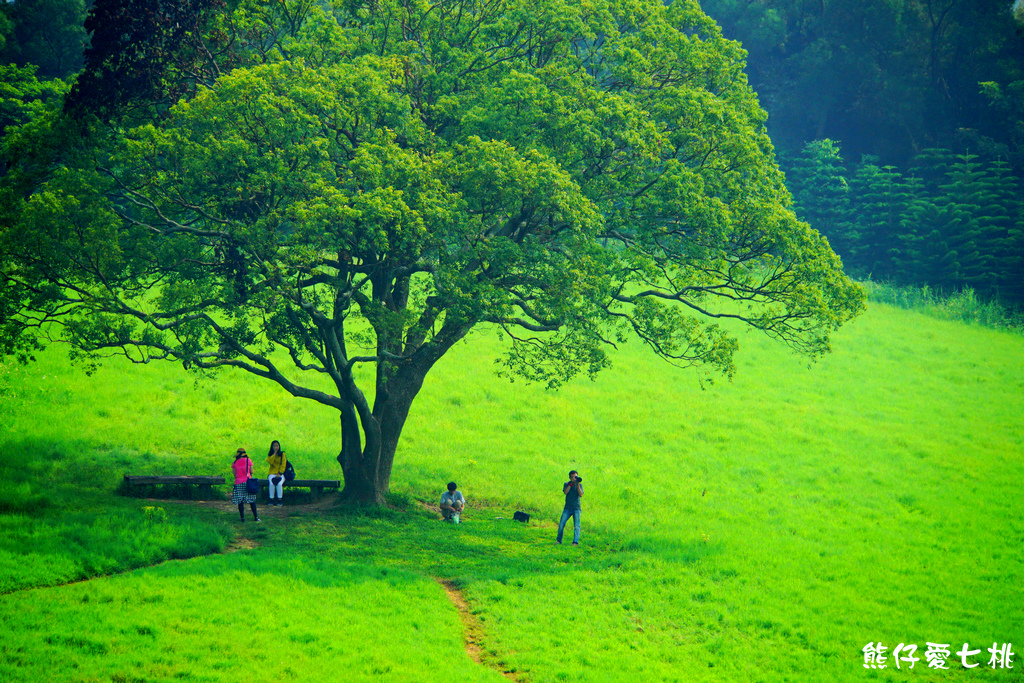 DSC06828.jpg DSC06828.jpg