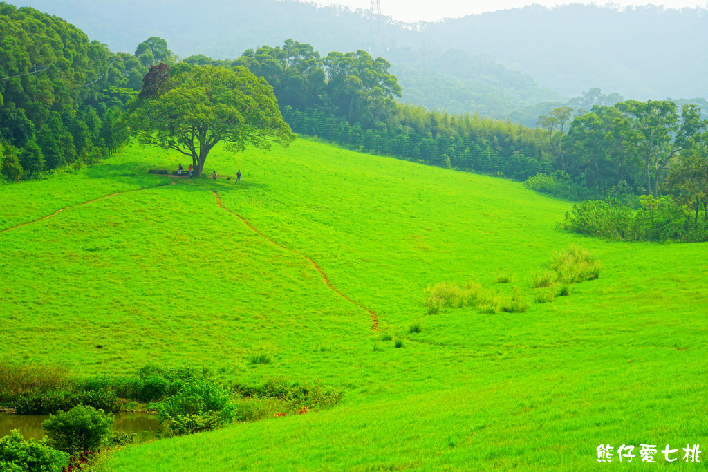 DSC06831.jpg DSC06831.jpg