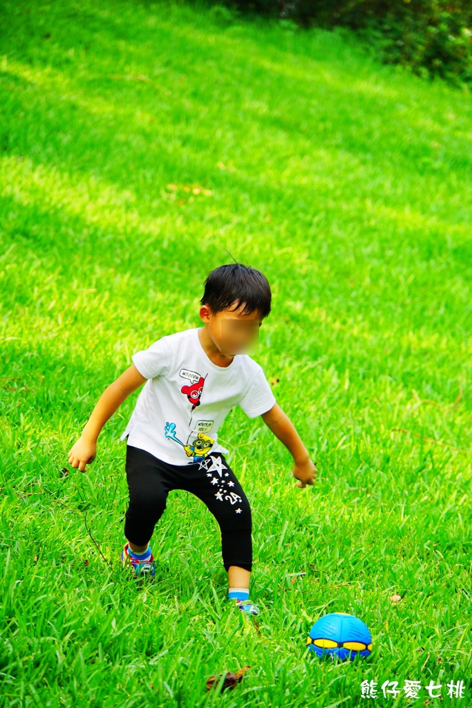 DSC06832.jpg DSC06832.jpg