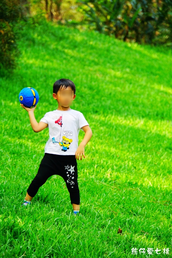 DSC06833.jpg DSC06833.jpg