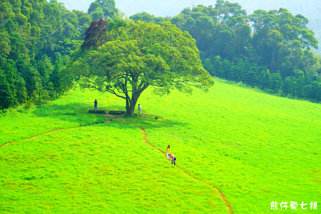 DSC06854.jpg DSC06854.jpg