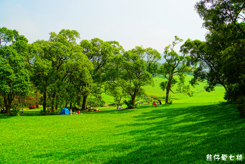 DSC06864.jpg DSC06864.jpg