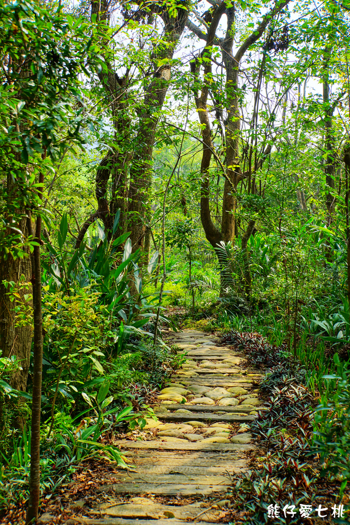 DSC06876.jpg DSC06876.jpg