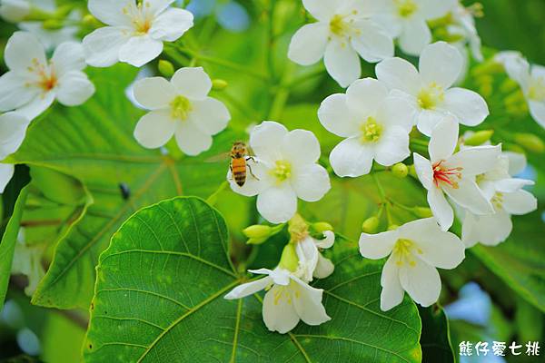 DSC01224.jpg DSC01224.jpg