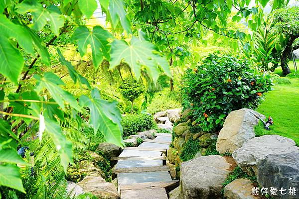 DSC01243.jpg DSC01243.jpg