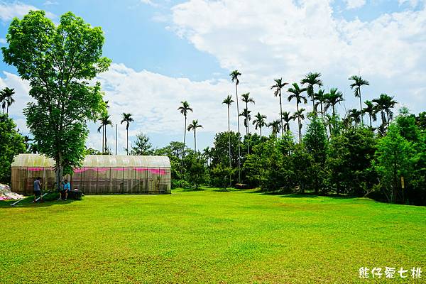 DSC01272.jpg DSC01272.jpg