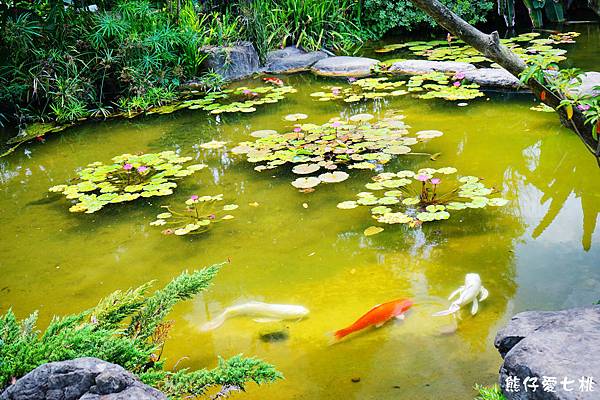 DSC01273.jpg DSC01273.jpg