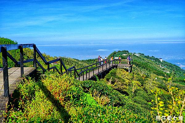 南投 鹿谷 大崙山觀光茶園 銀杏森林 武岫農圃 人間仙境 賞銀杏林之美 2018 熊仔愛七桃 痞客邦
