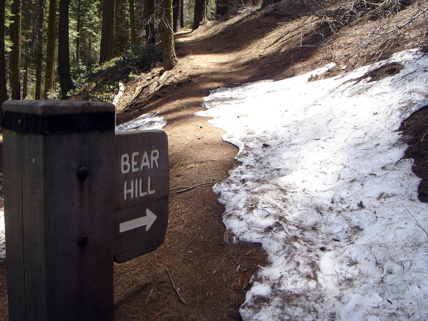 bear hill