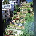 Lombard Street-postcard