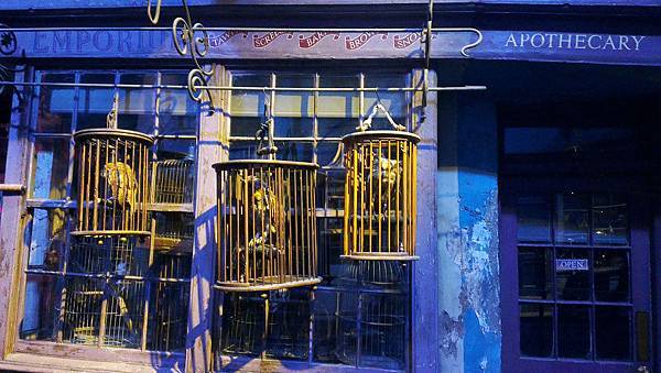 貓頭鷹商店(Eeylops Owl Emporium)