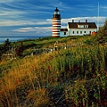 Sunrise at Quoddy Head Lighthouse, Lubec, Maine.jpg