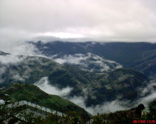 清境雲海.JPG