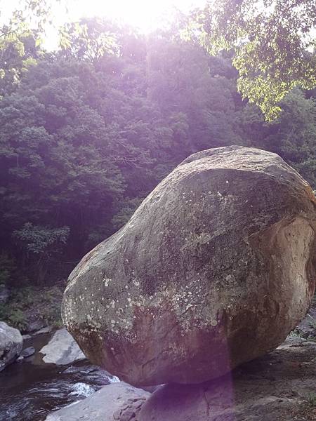 地震颱風依然屹立不搖