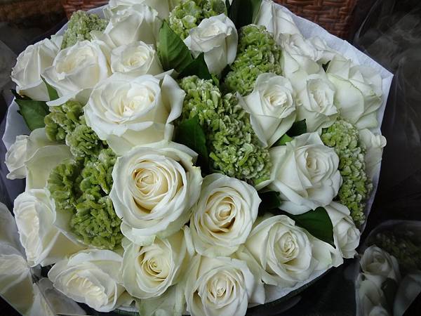 白玫瑰好美~