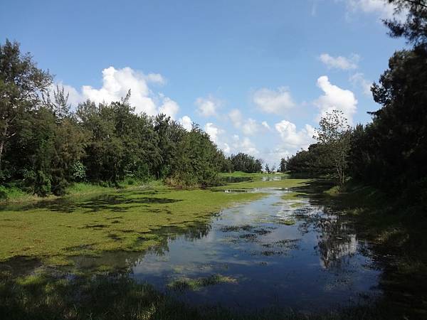 藍天映入湖水