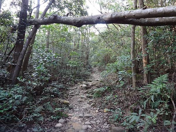 火炎山O型成功