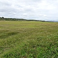 龍仔埔大草原