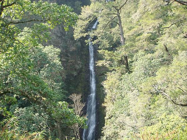 高達30餘公尺