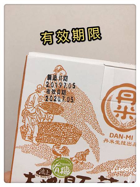 試用