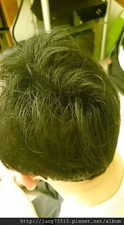 12039464_10153587225874334_3065145354520074622_n 12039464_10153587225874334_3065145354520074622_n