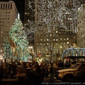 christmas-2014-in-new-york-.jpg
