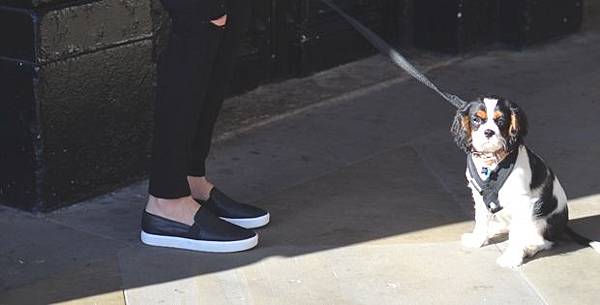 The-Perfect-Leather-Slip-On-Sneakers-2