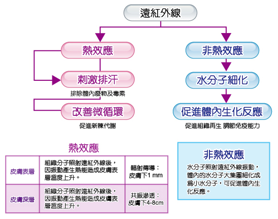 遠紅外線與健康