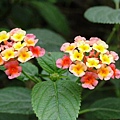 DSC00765.JPG