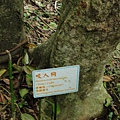 DSC00767.JPG