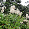 DSC00768.JPG