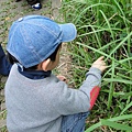DSC00771.JPG