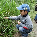 DSC00772.JPG