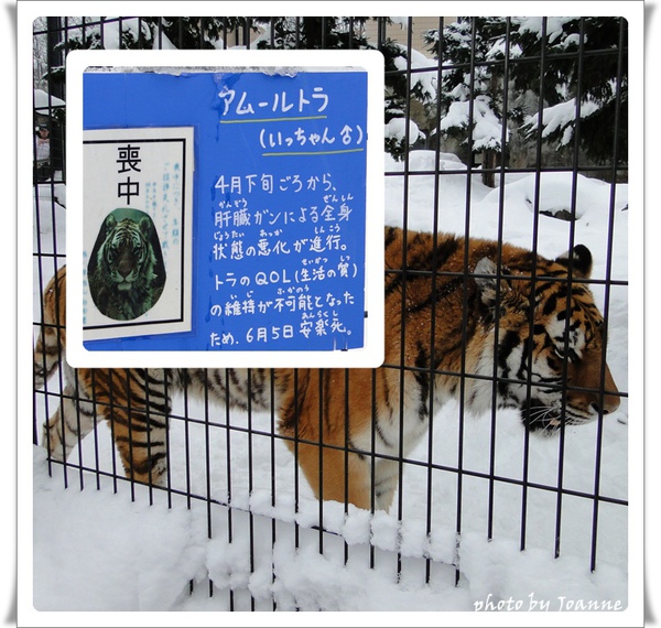 版2.jpg