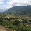 Sapa