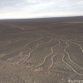 Nazca Line