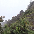 Wayna Picchu