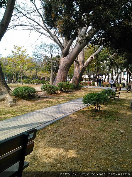 美麗的巴克禮公園