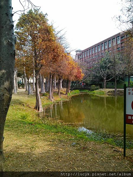 美麗的巴克禮公園