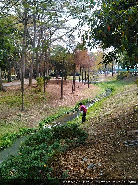 美麗的巴克禮公園