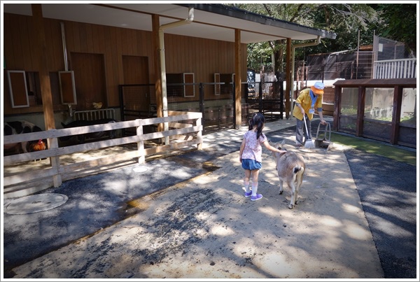 2013_1011_Tokyo Trip_Day 02_上野動物園_101.JPG