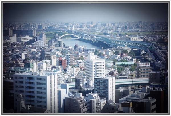 2013_1012_Tokyo Trip_Day 03_荒川都電線路面電車_020.JPG