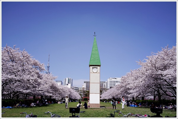 15東京旅行生活 Day11 東京賞櫻推薦 在猿江恩賜公園與東京在地人一塊兒賞櫻 寶貝點點 痞客邦