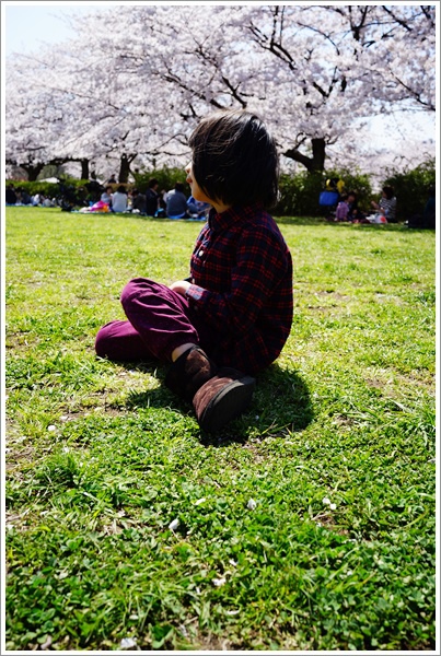 15東京旅行生活 Day11 東京賞櫻推薦 在猿江恩賜公園與東京在地人一塊兒賞櫻 寶貝點點 痞客邦