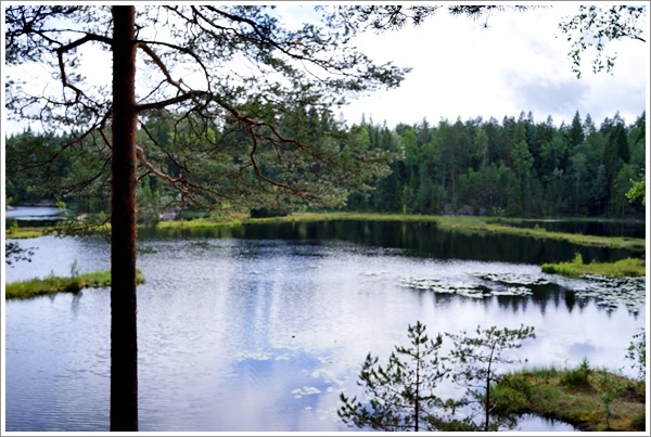 2017_0802_HEL_Nuuksio_RX1_24.JPG