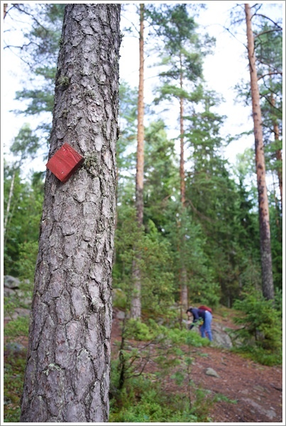 2017_0802_HEL_Nuuksio_RX1_25.JPG