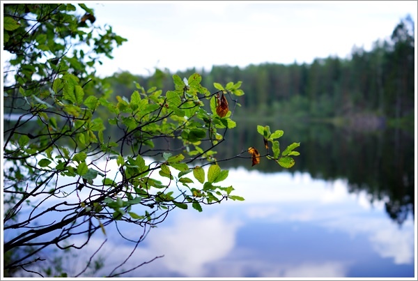 2017_0802_HEL_Nuuksio_RX1_39.JPG