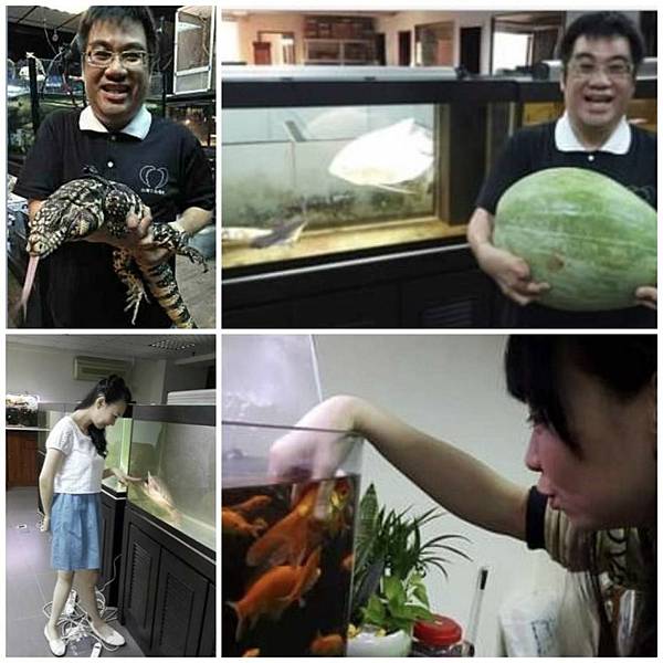 圖片2.jpg 圖片2.jpg