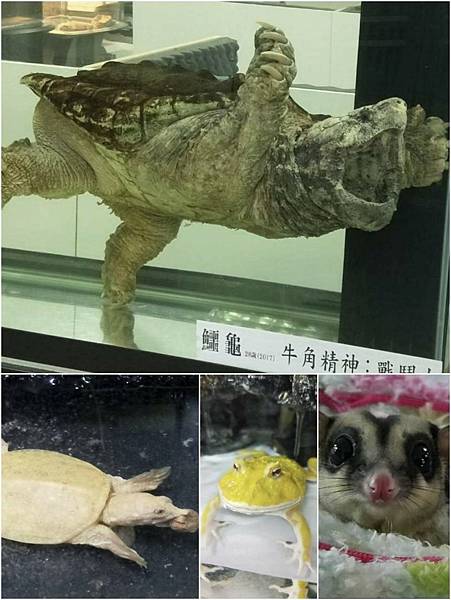 圖片1.jpg 圖片1.jpg